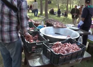 تقرير – ترهونة: انطلاق حملة تشجير في منتزه الشرشارة