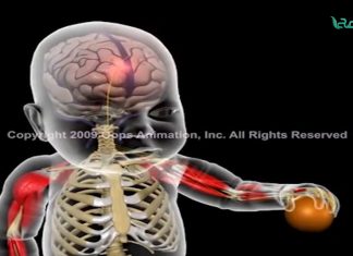 من حياتنا أحلى – د. أيمن الهرام – طبيب أطفال – خطر هذا الطفل لإلعابه أو إسكاته