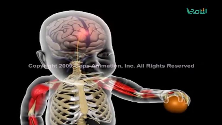 من حياتنا أحلى – د. أيمن الهرام – طبيب أطفال – خطر هذا الطفل لإلعابه أو إسكاته