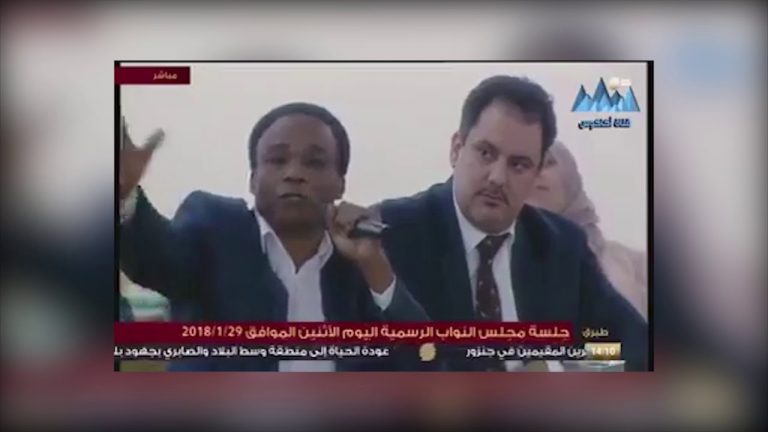 بالفيديو .. عضو بالبرلمان المنحل يصف ثورة فبراير بالنكبة !!!