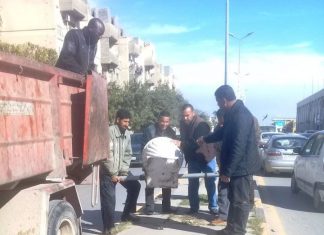 شاهد بالصور تزيين شوراع أبوسليم وزراعة الورود وأشجار الزينة