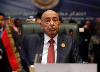 رئيس النواب المنحل: المجلس سيصدر قانون الانتخابات الرئاسية والتشريعية بعد إقرار الدستور