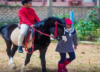 أخبار البلديات