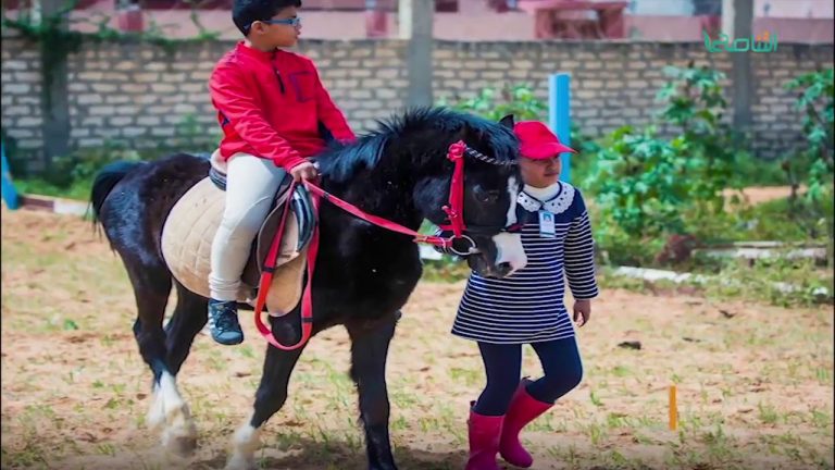 أخبار البلديات