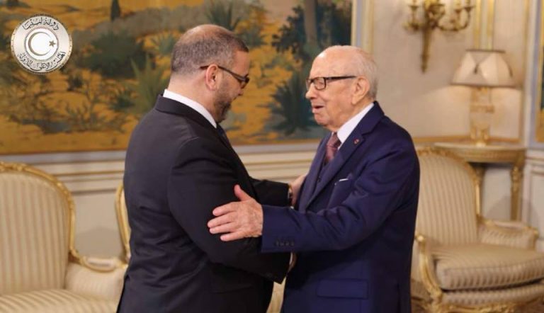 المشري : متمسكون بالمسار الديمقراطي والدستوري في ليبيا