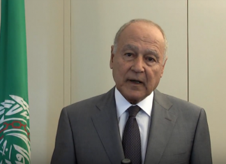 أبو الغيظ : نشيد بالجهود الليبية في إطار العمل العربي المشترك