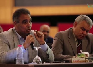 تقرير – مجلس الدولة: تشكيل لجنة لمعالجة أزمة الجنوب