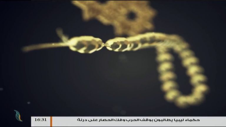 وإن عليه لطلاوة – مع الشيخ الفيتوري غانم – سورة يوسف من الأية 31 إلى الأية 37