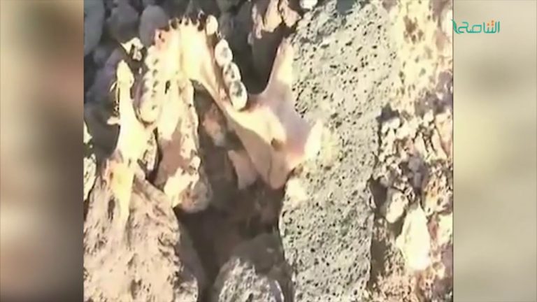 مجزرة الحاوية .. إحدى جرائم نظام القذافي بحق الليبيين