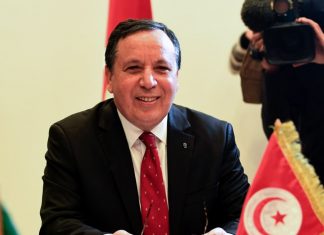 الجهيناوي: لقاء مرتقب مصري تونسي جزائري لبحث الأزمة الليبية