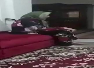 فيديو متداول لوالدة أحمد العريبي والتجاؤها للبكاء بعد إخفائه قسريا من قبل مليشيات مجرم الحرب حفتر.