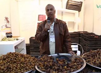 الأخ علي الفقيه من مدينة زلة يحدثكم عن معرض طرابلس السادس للتمور