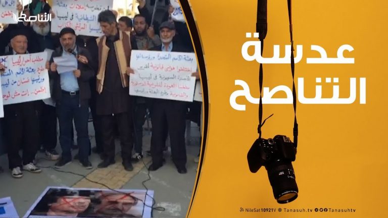 عدسة التناصح : مظاهرة أحرار وحرائر ميدان الشهداء – الجمعة  29/3/2019