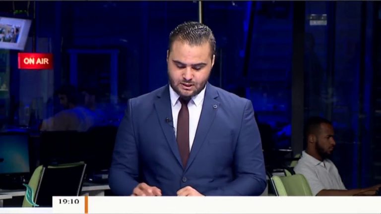 المحلل السياسي محمود إسماعيل: حلول غسان سلامة مجرد أوهام | 8 – 6 – 2019