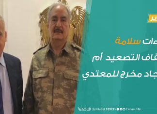 لقاءات سلامة لإيقاف التصعيد أم لإيجاد مخرج للمعتدي