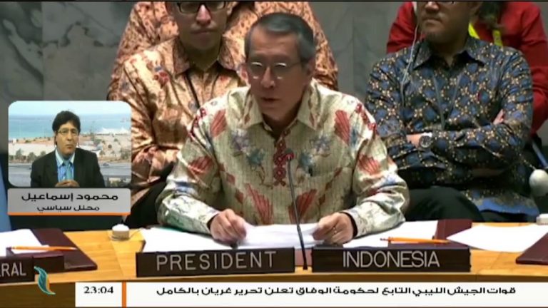 الدكتور محمود اسماعيل: لا يجب التعويل كثيراً على المجتمع الدولي ومجلس الأمن في حل الأزمة الليبية