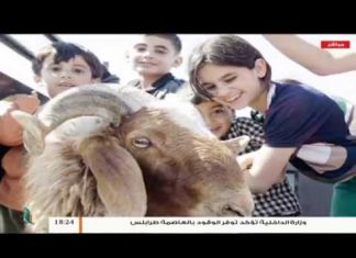 تغطية العيد | رسائل العيد | تقديم: نادر البغدادي | 12 – 8 – 2019