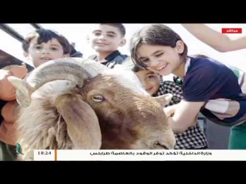 تغطية العيد | رسائل العيد | تقديم: نادر البغدادي | 12 – 8 – 2019