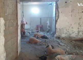 تقرير | خرق حفتر للهدنة واستهداف المرافق المدنية وتداعياته | 12 – 08 – 2019