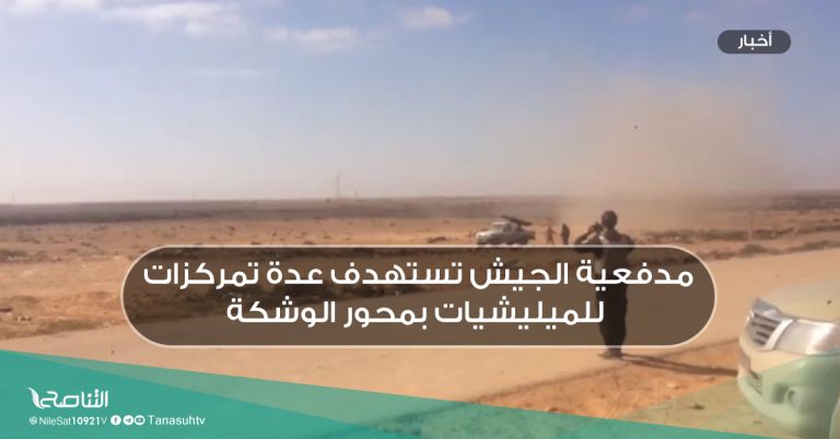 مدفعية الجيش تستهدف عدة تمركزات للميليشيات بمحور الوشكة