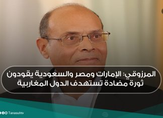 المرزوقي: الإمارات ومصر والسعودية يقودون ثورة مضادة تستهدف الدول المغاربية