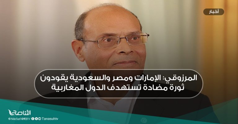 المرزوقي: الإمارات ومصر والسعودية يقودون ثورة مضادة تستهدف الدول المغاربية