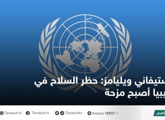 ستيفاني ويليامز: حظر السلاح في ليبيا أصبح مزحة