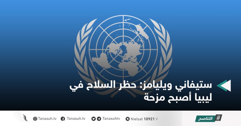 ستيفاني ويليامز: حظر السلاح في ليبيا أصبح مزحة