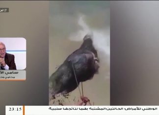 سامي الأطرش/ محامي وحقوقي: بشأن تقارير الانتهاكات والإخفاء القسري الذي تمارسه ميليشيات حفتر وميليشيا الكاني ……..المزيد في سياق المداخلة| 19 – 03 – 2020