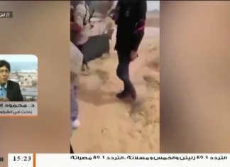 محمود إسماعيل: يجب أن تعمل خارجية الوفاق على تدعيم العلاقات مع الدول الداعمة لها لردع العدوان