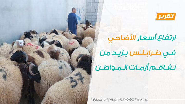 ارتفاع أسعار الأضاحي في طرابلس يزيد من تفاقم أزمات المواطن