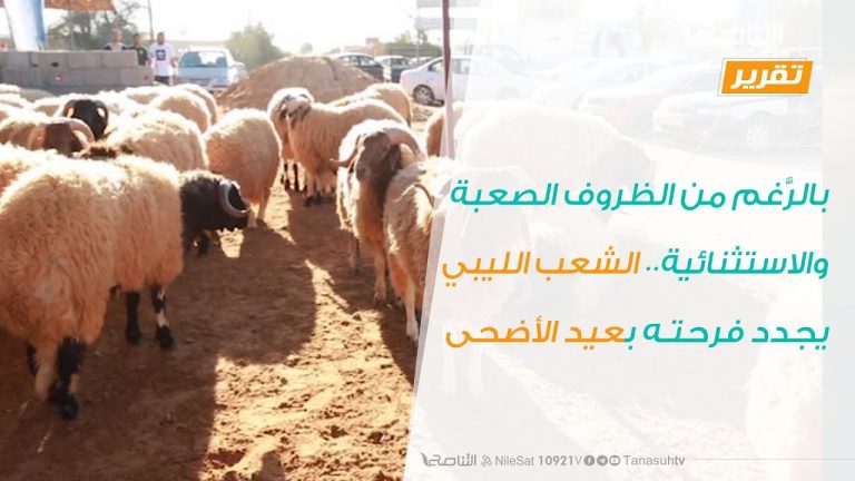 تقرير – بالرَّغم من الظروف الصعبة والاستثنائية …الشعب الليبي يجدد فرحته بعيد الأضحى | 26 – 7 – 2020