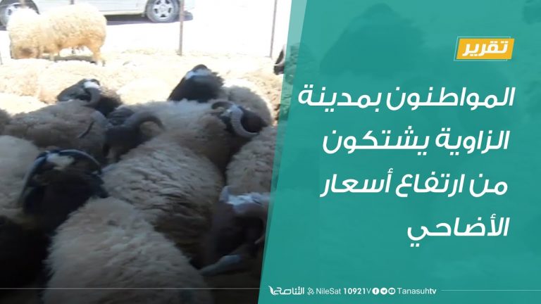 #تقرير | المواطنون بمدينة الزاوية يشتكون من ارتفاع أسعار الأضاحي | 29 – 7 – 2020