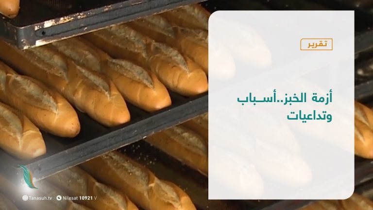 تقرير – تغطية خاصة | أزمة الخبز… أسباب وتداعيات | 19 – 1 – 2021
