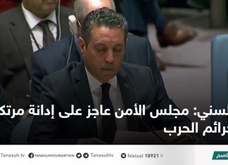 السني: مجلس الأمن عاجز على إدانة مرتكبي جرائم الحرب
