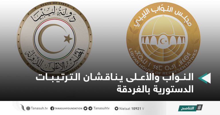 النواب والأعلى يناقشان الترتيبات الدستورية بالغردقة