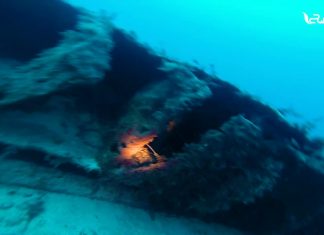 شاهد | عدسة التناصح ترافق أحد الصيادين في جولة قبالة سواحل طرابلس وتاجوراء