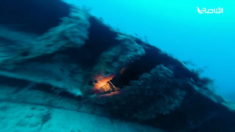 شاهد | عدسة التناصح ترافق أحد الصيادين في جولة قبالة سواحل طرابلس وتاجوراء