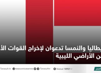 إيطاليا والنمسا تدعوان لإخراج القوات الأجنبية من الأراضي الليبية