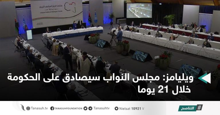 ويليامز: مجلس النواب سيصادق على الحكومة خلال 21 يوما