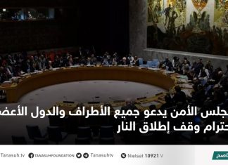مجلس الأمن يدعو جميع الأطراف والدول الأعضاء إلى احترام وقف إطلاق النار