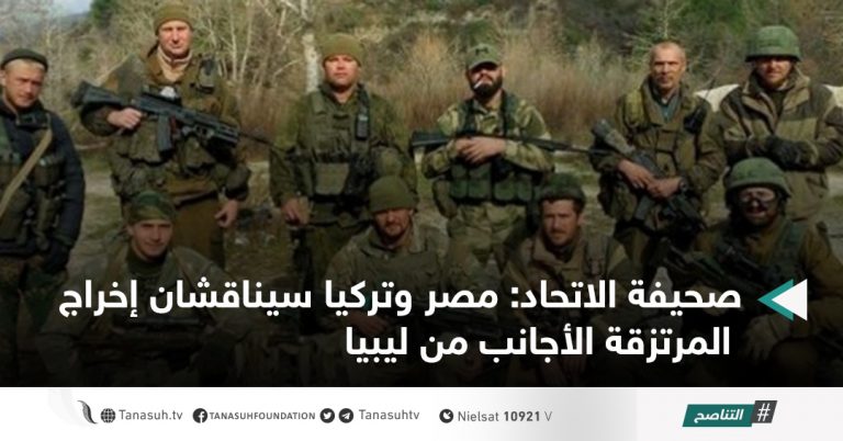 صحيفة الاتحاد: مصر وتركيا سيناقشان إخراج المرتزقة الأجانب من ليبيا