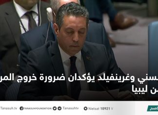 السني وغرينفيلد يؤكدان ضرورة خروج المرتزقة من ليبيا