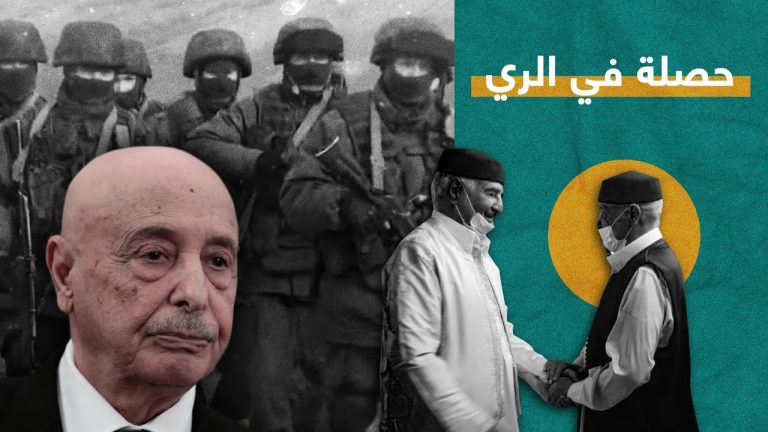 برومو | عقيلة صالح.. حصلة في الري