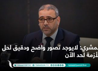 المشري: لايوجد تصور واضح ودقيق لحل الأزمة لحد الآن