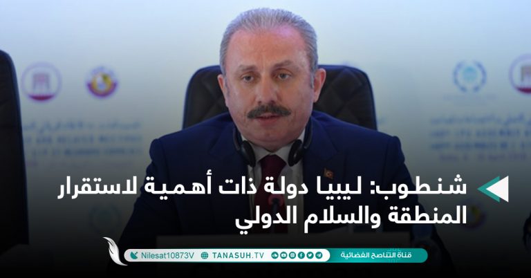 شنطوب: ليبيا دولة ذات أهمية لاستقرار المنطقة والسلام الدولي