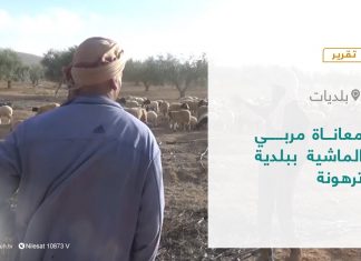 تقرير – بلديات | معاناة مربي الماشية ببلدية ترهونة | 16 – 01 – 2022