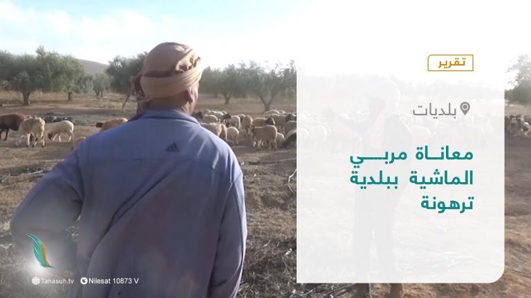 تقرير – بلديات | معاناة مربي الماشية ببلدية ترهونة | 16 – 01 – 2022