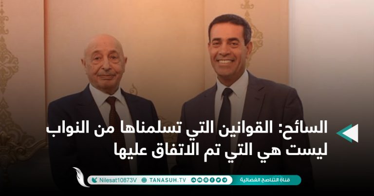 السائح: القوانين التي تسلمناها من النواب ليست هي التي تم الاتفاق عليها