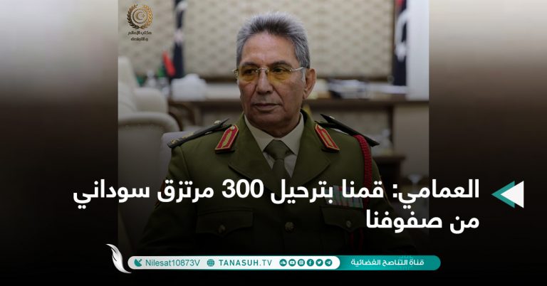 العمامي: قمنا بترحيل 300 مرتزق سوداني من صفوفنا